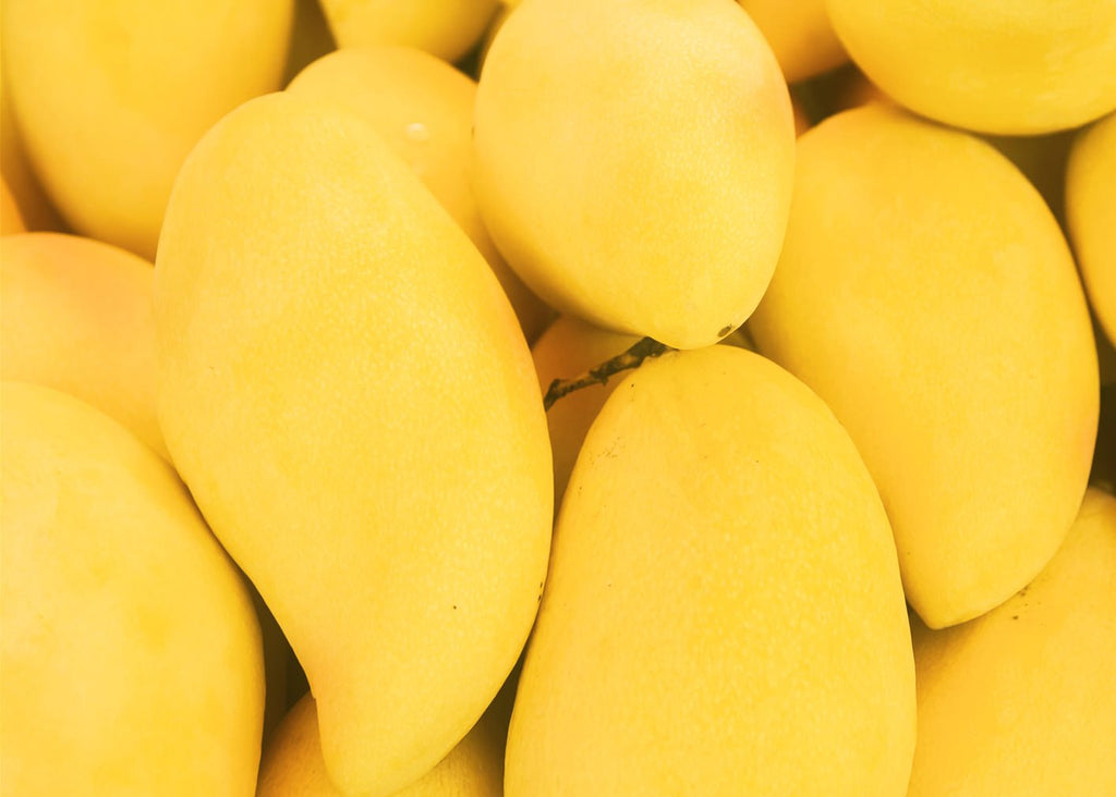 Farm Fresh Mangoes
