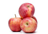 Fuji Apple