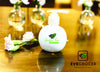 Green Tea Shampoo