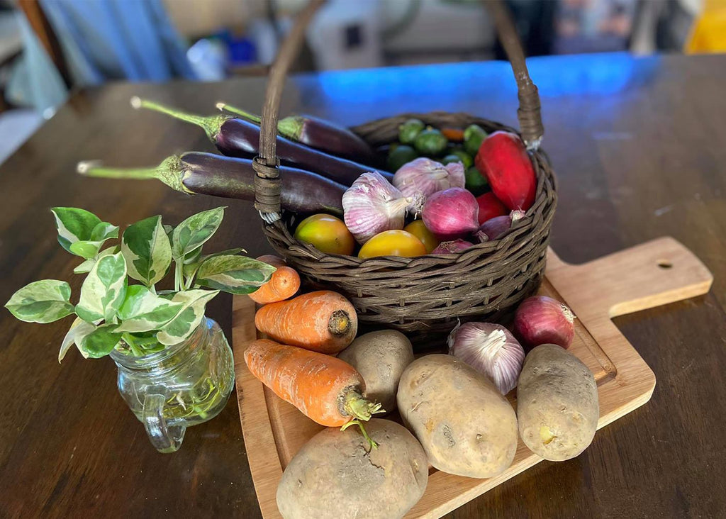 Veggie Basic Bundle